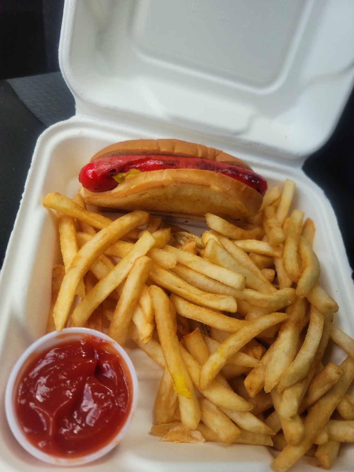 A hot dog in a bun with a side of french fries and ketchup in a takeout container.